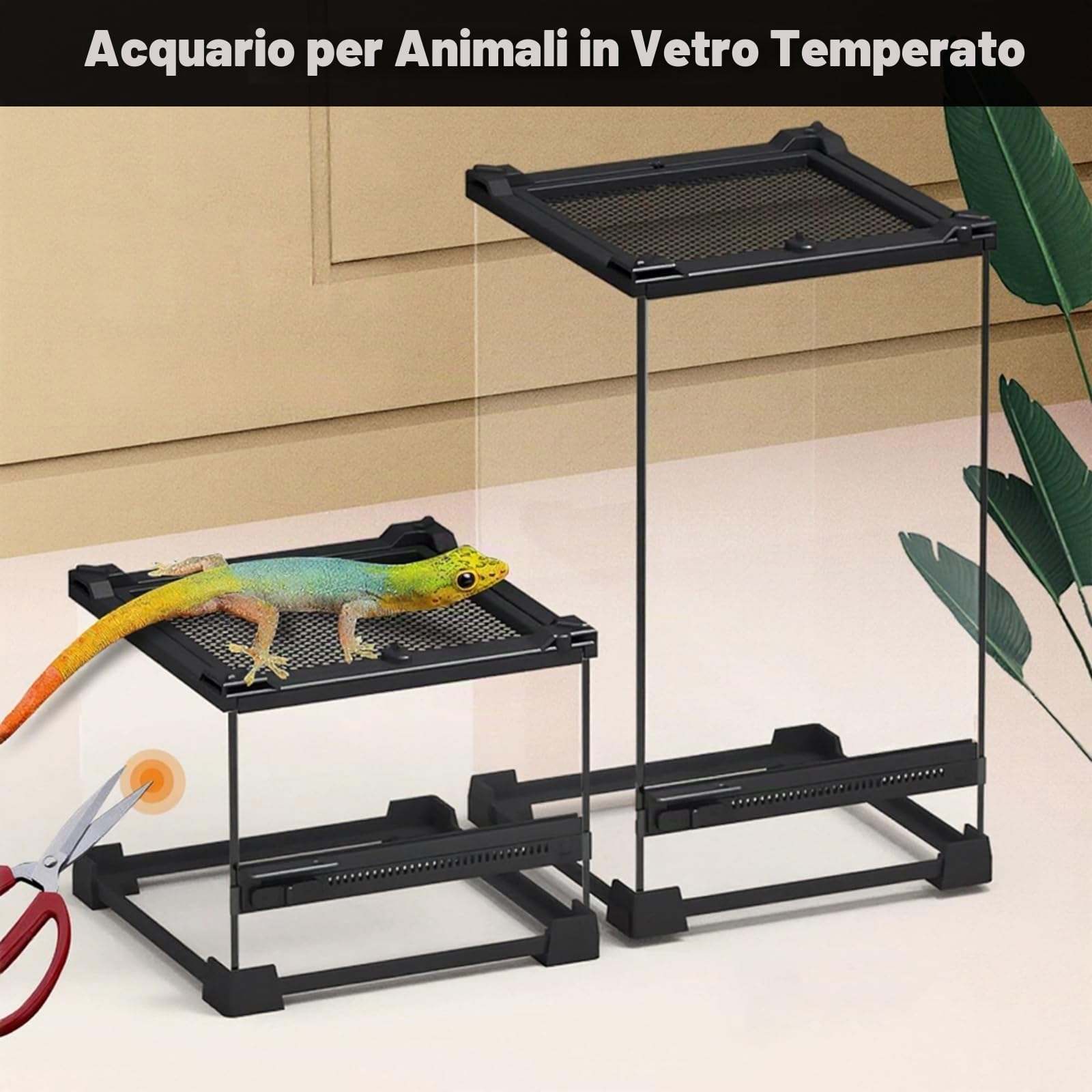 Rettile Errarium - Scatola di alimentazione per rettili, con ventilazione frontale, terrario in vetro con chiusura a vite anti-rottura, contenitore multiuso per rettili, anfibi, nero, 20 x 20 x 30 cm