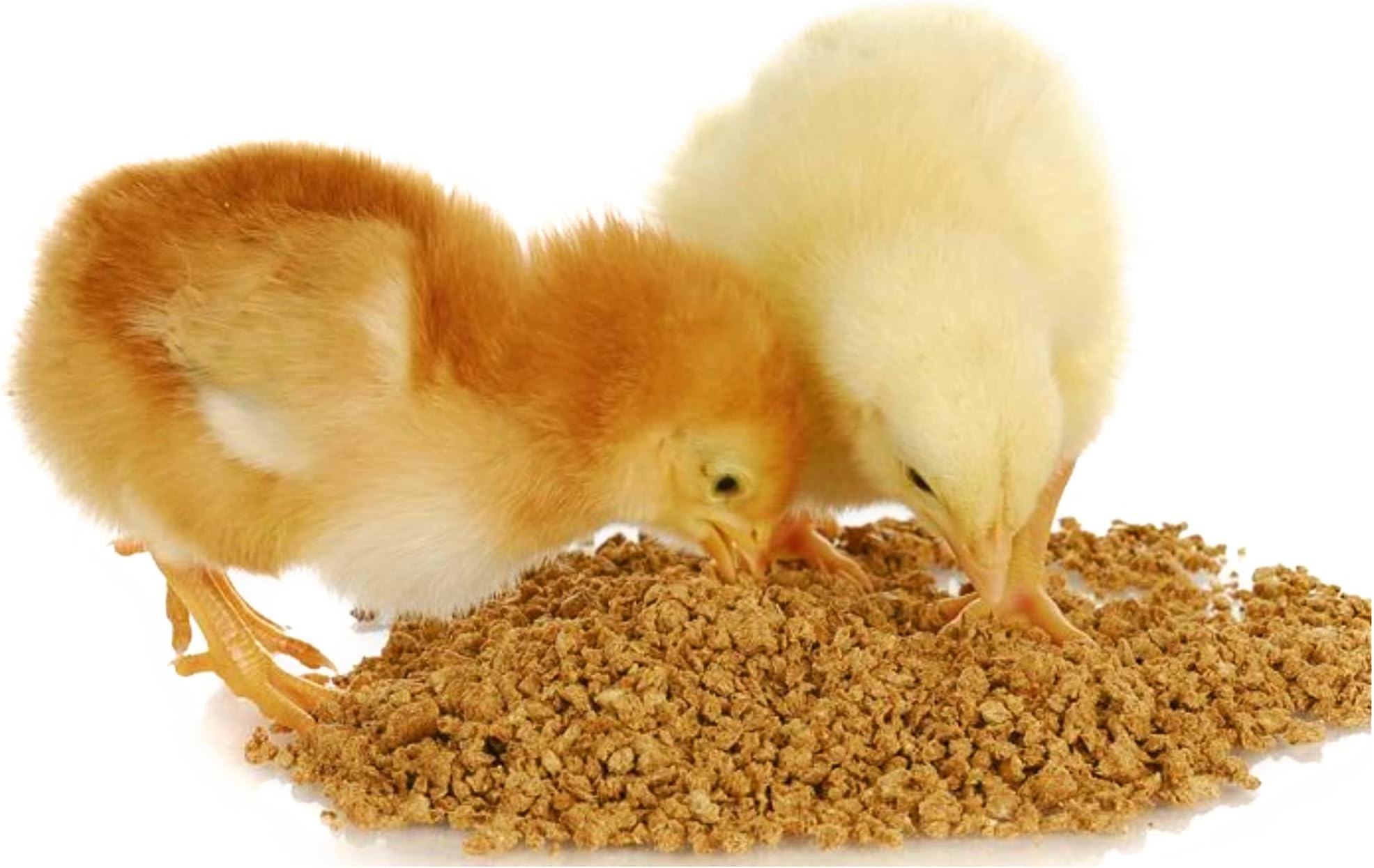 Grower Chicks Pellet Food for Small Chicken Day 0 to 2months This Feed Have Highly Rich in Nutritions & Proteins 1.5kg Packet