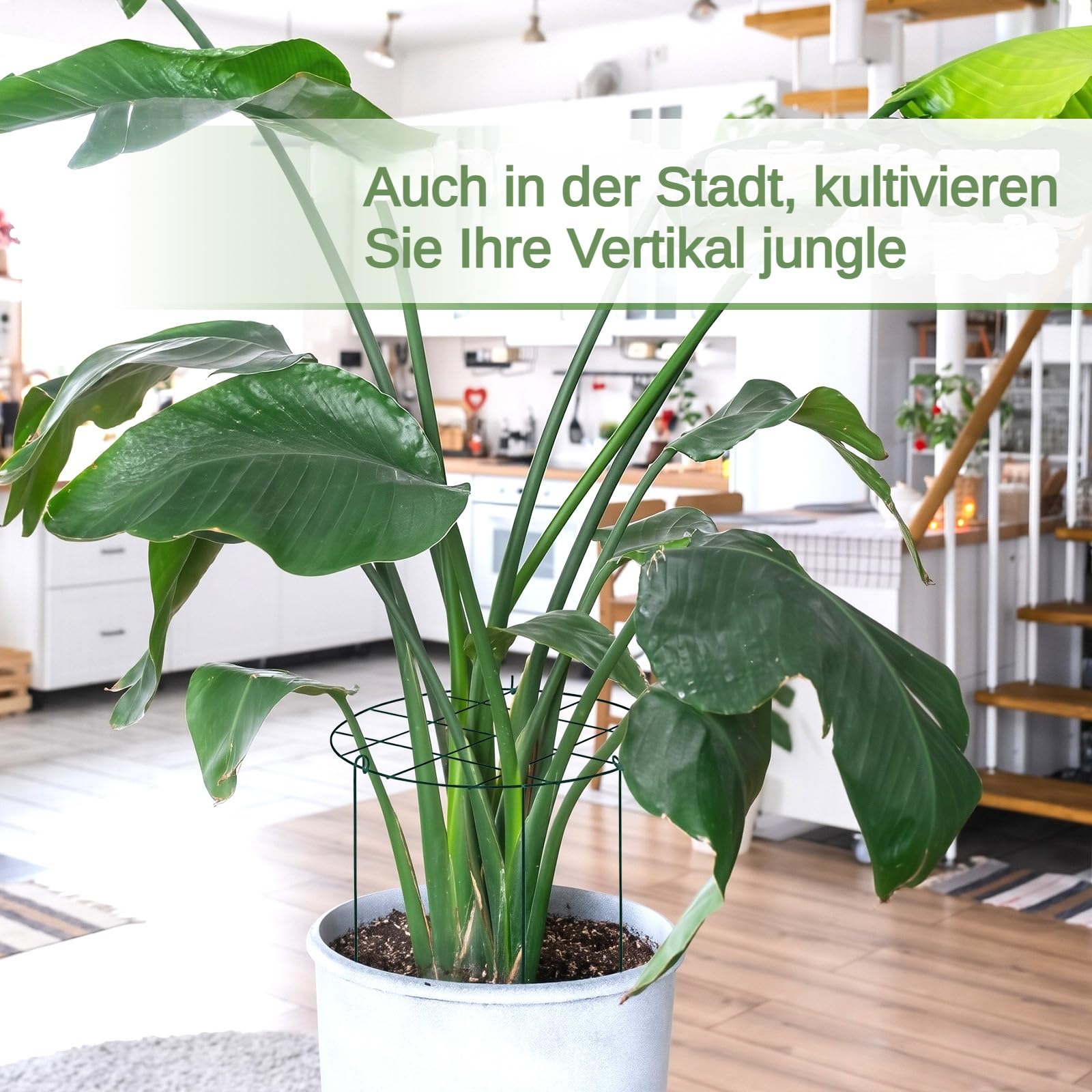 Sharplace 3 Stück Tomaten Kletterstütze Pflanzenstütze 45x35CM, Tomatenkäfig mit abnehmbarem Spalier, Metall-Gartenpflanzenpfähle, Pfingstrosen-Käfige für Rosen, Gemüse, Blumen, Gurken, Kreise-Grün