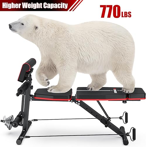 Miniatura 6 de XDDIAS Banco de pesas, banco de entrenamiento de fuerza ajustable para entrenamiento de cuerpo completo, bancos inclinados plegables para gimnasio