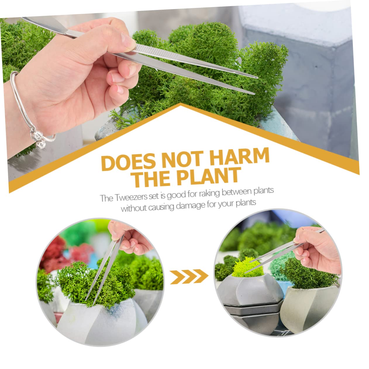 UKCOCO 3 Set Strumenti Per Bonsai Inossidabile Pinzette E Rastrello Per Giardinaggio Utensili Leggeri E Compatti Per Piante 2 Pezzi*3