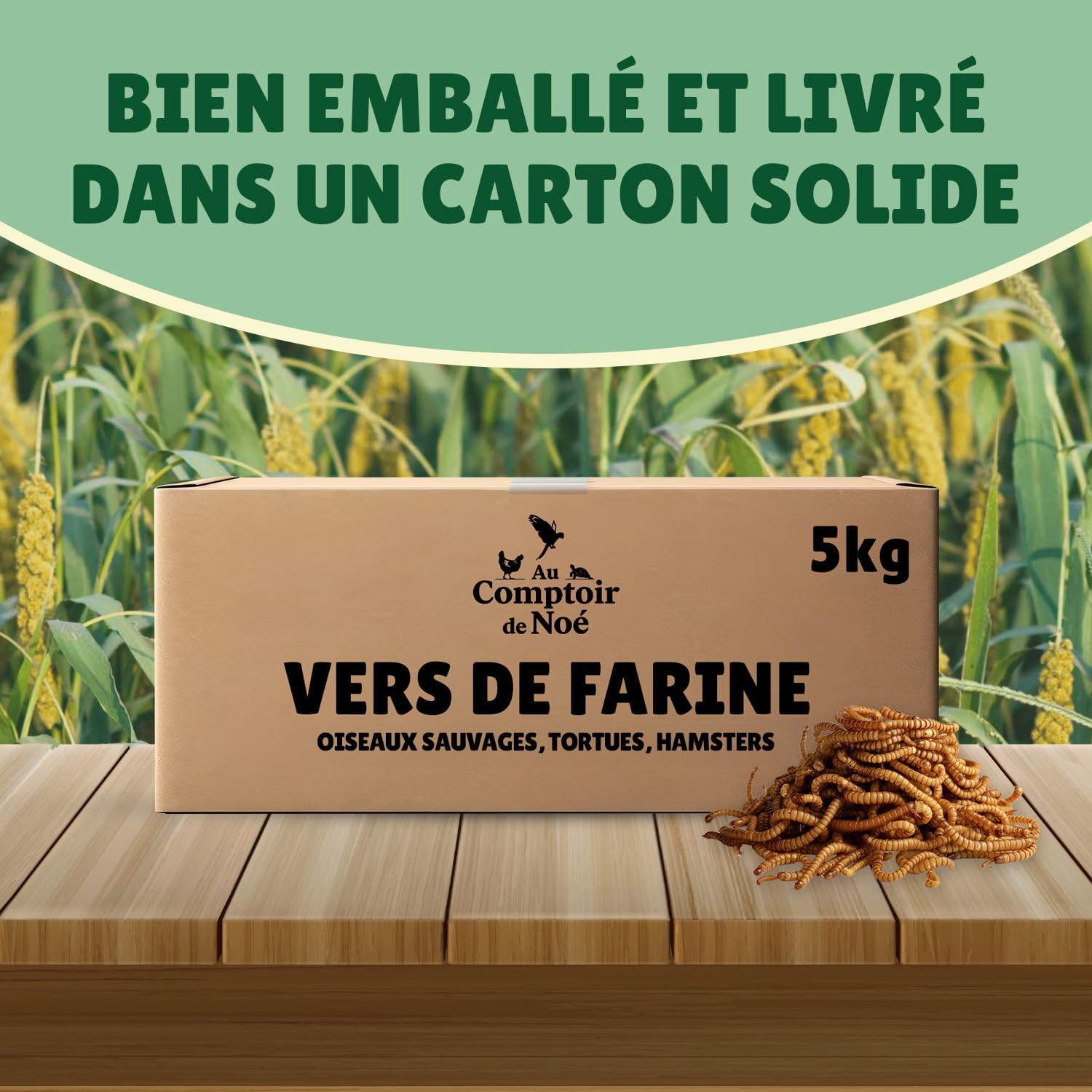 vers de Farine Séchés 5kg Au Comptoir de Noé, 100% Naturel, Riches en Protéines et Bonnes Graisses, vers Farine, Almentation pour Poissons, Oiseaux Sauvages, Tortues, Hérissons, Rongeurs et Reptiles