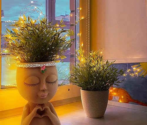 Miniatura 2 de Meltset - Macetas de cara única, maceta para plantas de interior, bonitas macetas pequeñas para suculentas de interior con drenaje, gran regalo