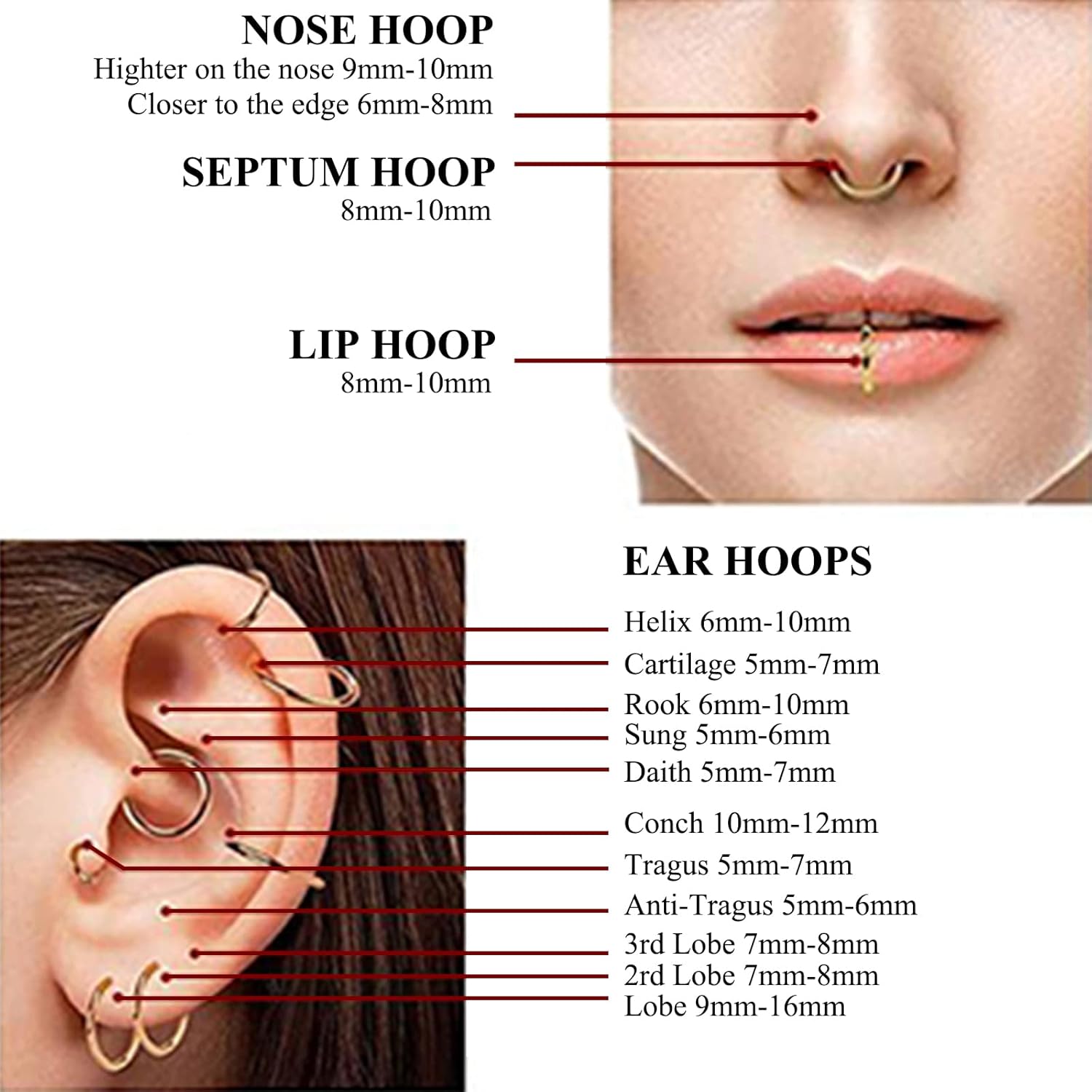 Xpircn 14G 16G 18G 20G Nose Rings Hoops Lip Septum Rings 316L Surgical Steel Tragus Daith Cartilage Earrings for Women Nose Ring Hoop Hinged Segment Ring Nose Piercing Jewelry - Image 4