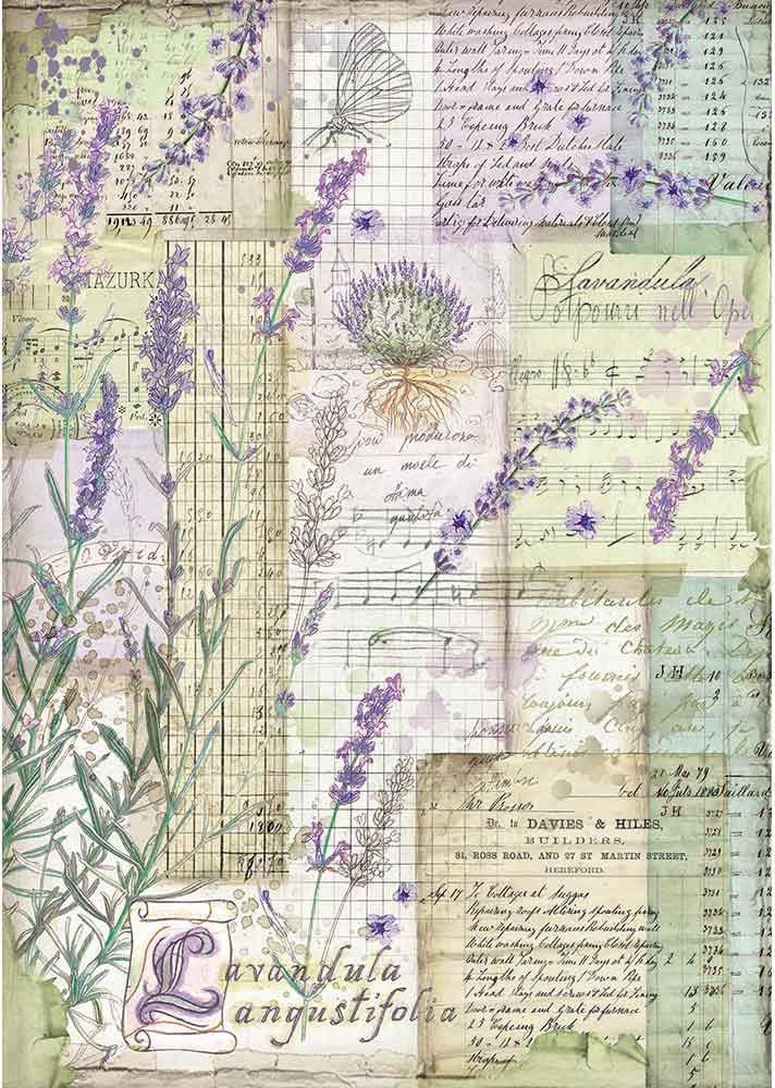 STAMPERIA INTERNATIONAL, KFT Rice Paper Pack A4 LAVEN FANT, Lavender Fantasy, One Size