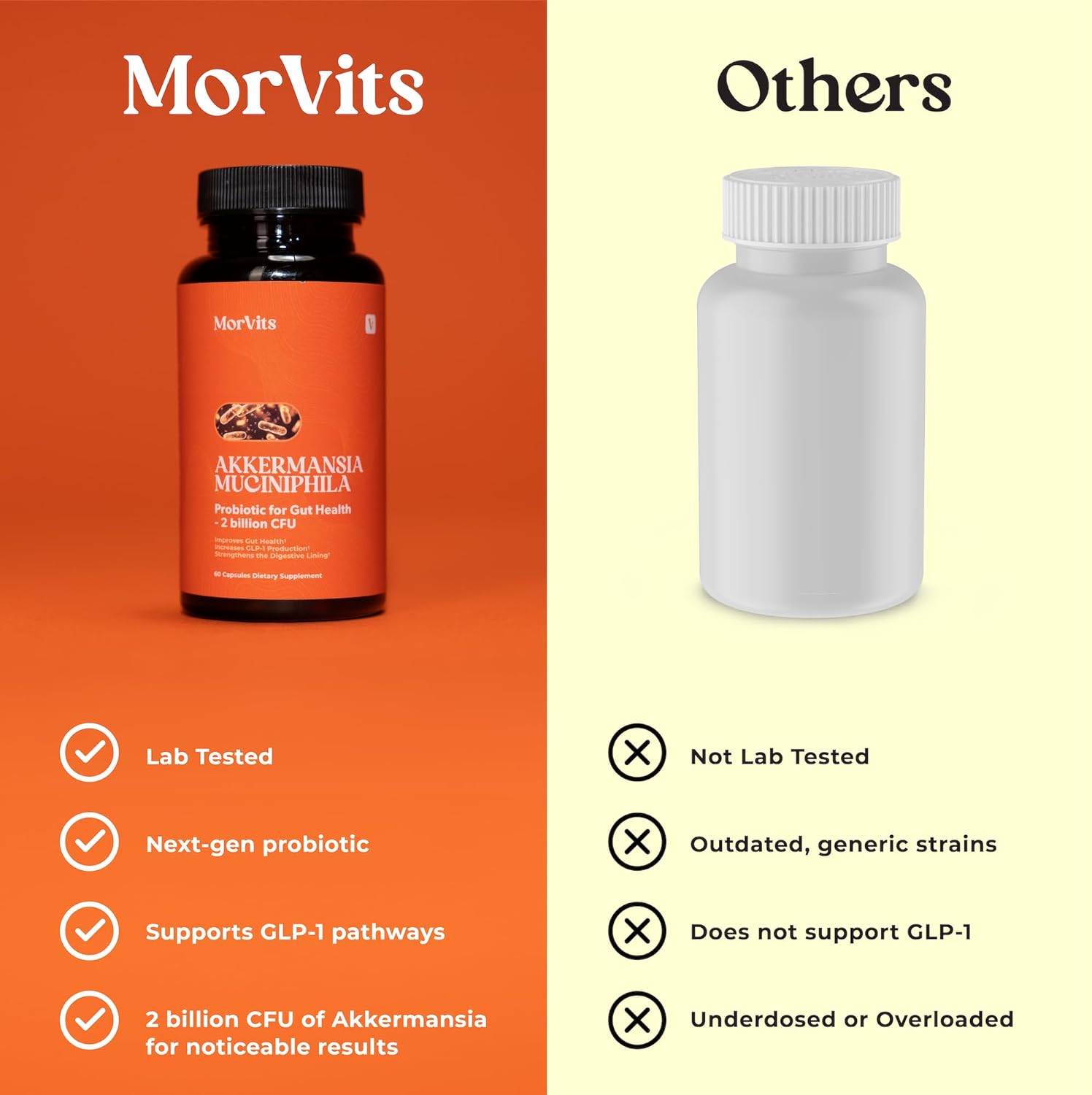 Akkermansia Probiotic for Cravings & Gut Health | GLP-1 Support Supplement with Akkermansia Muciniphila – 2 Billion CFU, Inulin Prebiotic Fiber – 60 Capsules, 1 Pack