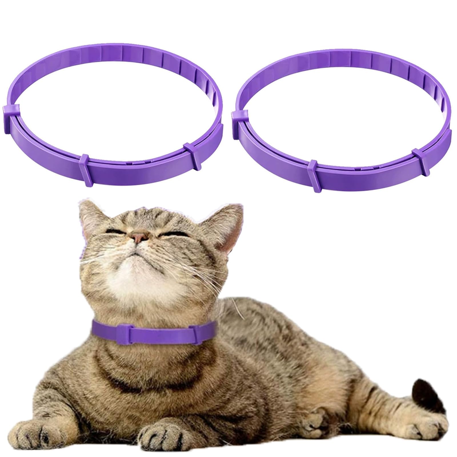PET Care Sentry Calming Collar for Cats - 30-Day Long-Lasting Pheromone Collar to Reduce Stress & Anxiety, Soothe Loud Noise Fears, and Ease Separation Anxiety - 1 Count (Cat Relaxants)