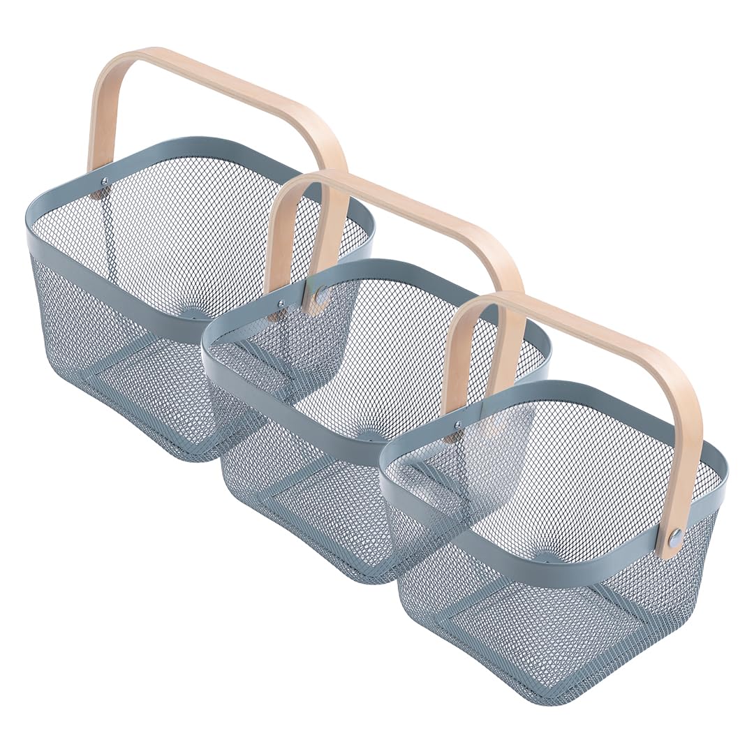 UMAI Metal Mesh Basket - Multipurpose Storage Organizer, Fruit Basket, and Picnic Basket for Kitchen and Home - Ideal Basket for Storage and Organization (Pack of 3, Blue) (B0CBP9C7M6) Amazon Price History, Amazon Price Tracker