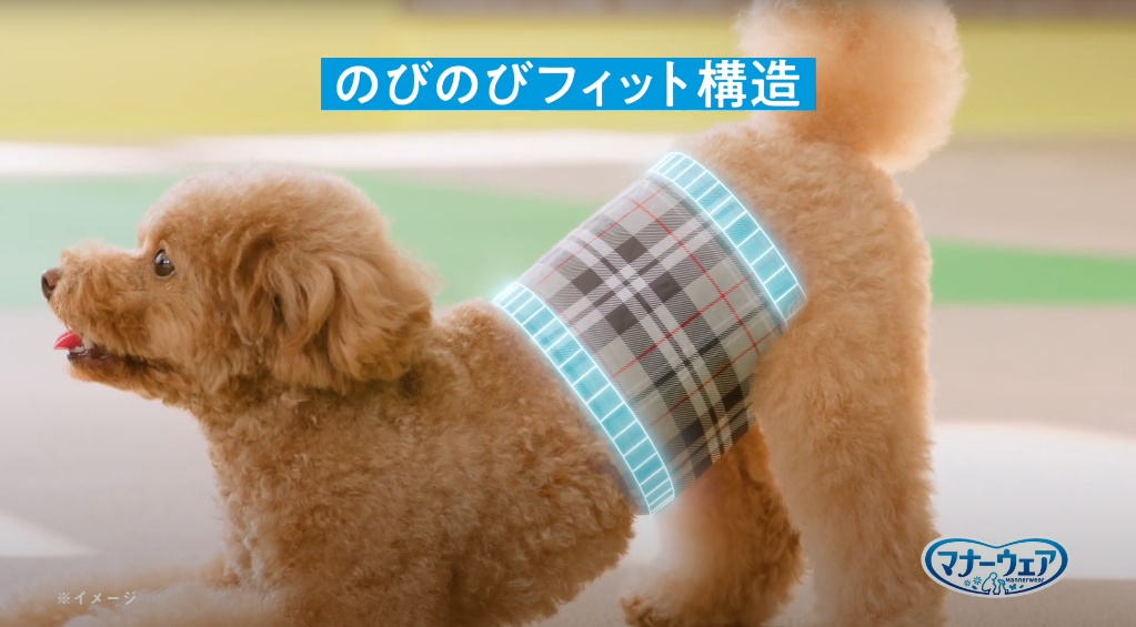 Amazon | マナーウェア 男の子用 L 中型犬 42枚 犬用おむつ Amazon.co