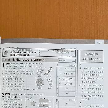 Amazon.co.jp: 令和4年度版「絶対評価プリント 理科 1年 啓林館