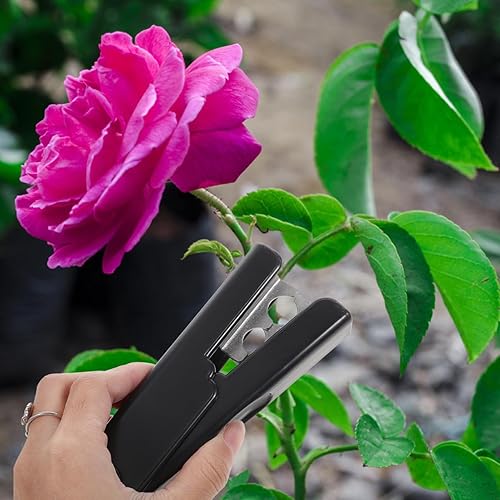 Miniatura 6 de Removedor de espinas y alicates para quitar espinas, removedor de espinas de hojas de rosa, herramienta de extracción de espinas y hojas, color negro