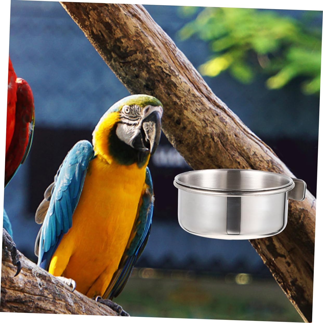 ibasenice Bol de Nourriture pour Oiseaux et Mangeoire Suspendue 4 Pièces en Acier Inoxydable Résistant la Rouille Tasse Détachable pour Perroquets pour Cage à Oiseaux