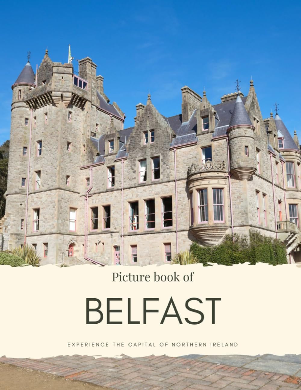 Picture Book of Belfast: Experience the Capital of Northern Ireland (Travel Coffee Table Books)