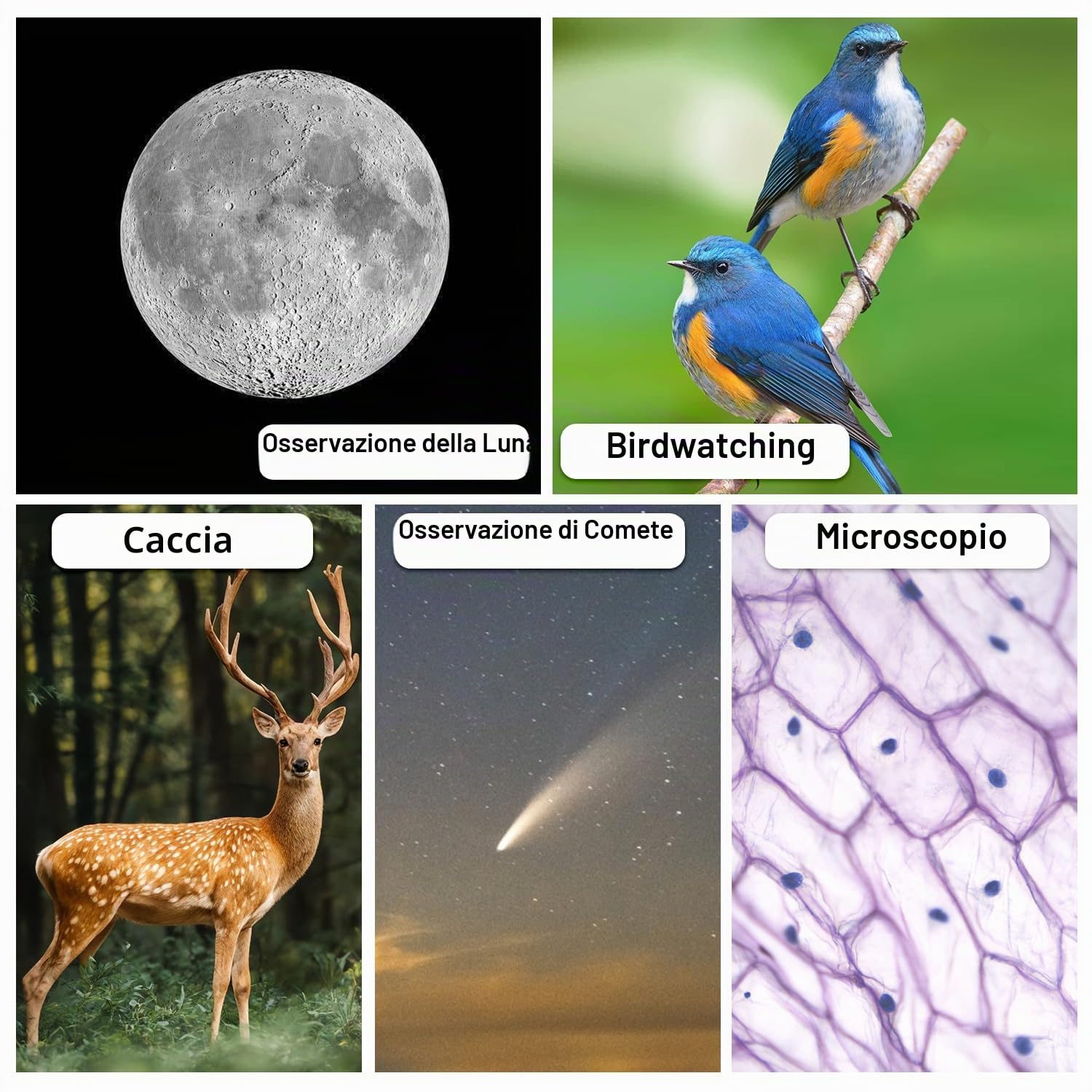 Adattatore per telefono telescopico ad alta precisione a 3 assi, adattatore digiscoping per smartphone, supporto in metallo per mirino, microscopio binoculare binoculare, adatto a tutte le fotocamere