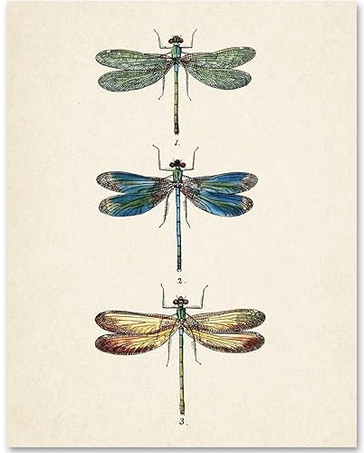Miniatura 1 de Dragonflies Art Picture - 11x14 Unframed Art Print - Makes a Great Home Decor Under $15