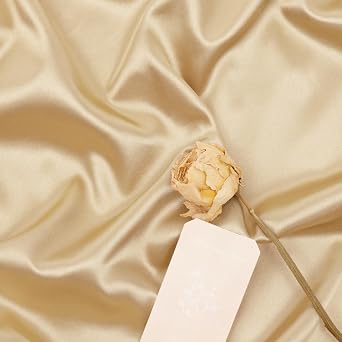 MLMW Charmeuse Champagne Satin Fabric 3 Yards 60" Wide Silky Charmeuse Satin Fabric by the Yard Smooth Cloth Fabric for Wedding Dress, Sewing, DIY Crafts,Clothing Making, Party Decorations, Backdrop