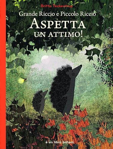 Grande riccio e piccolo riccio. Aspetta un attimo! Ediz. a colori