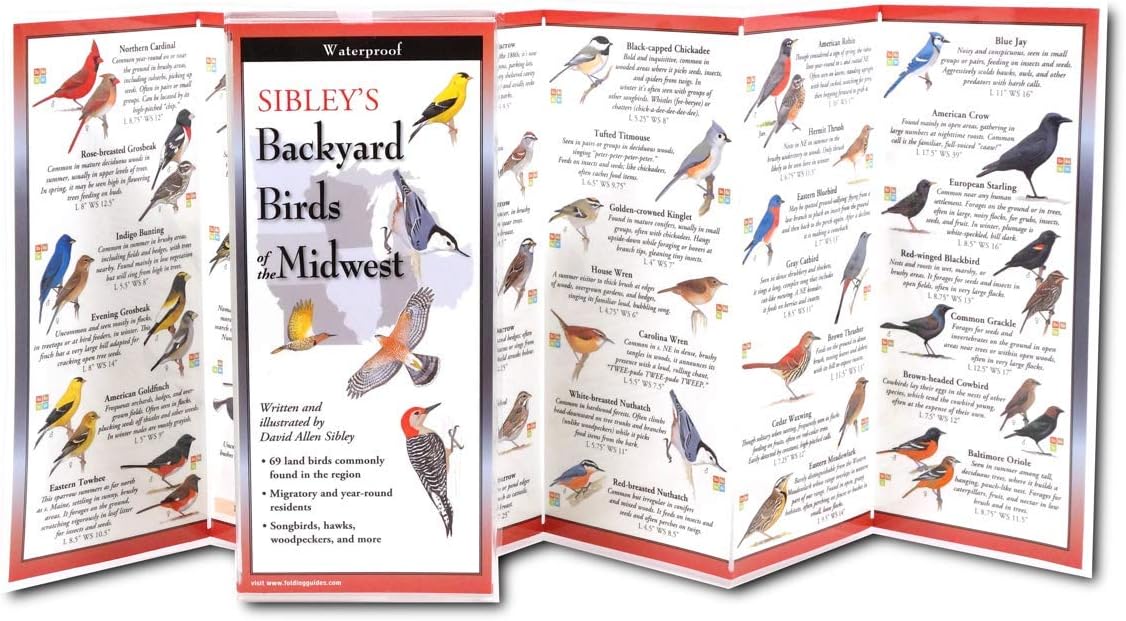 Earth Sky + Water FoldingGuide™ - Sibley’s Backyard Birds of The Midwest - 10 Panel Foldable Waterproof Nature Identification Guide