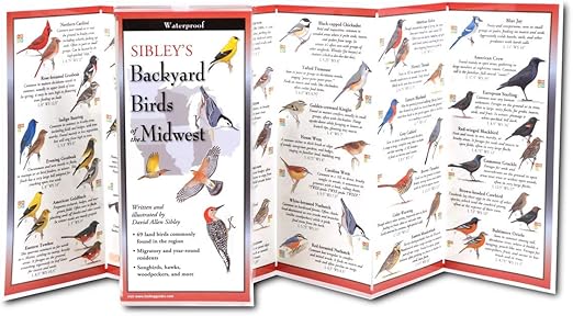 Earth Sky + Water FoldingGuide™ - Sibley’s Backyard Birds of The Midwest - 10 Panel Foldable Waterproof Nature Identification Guide