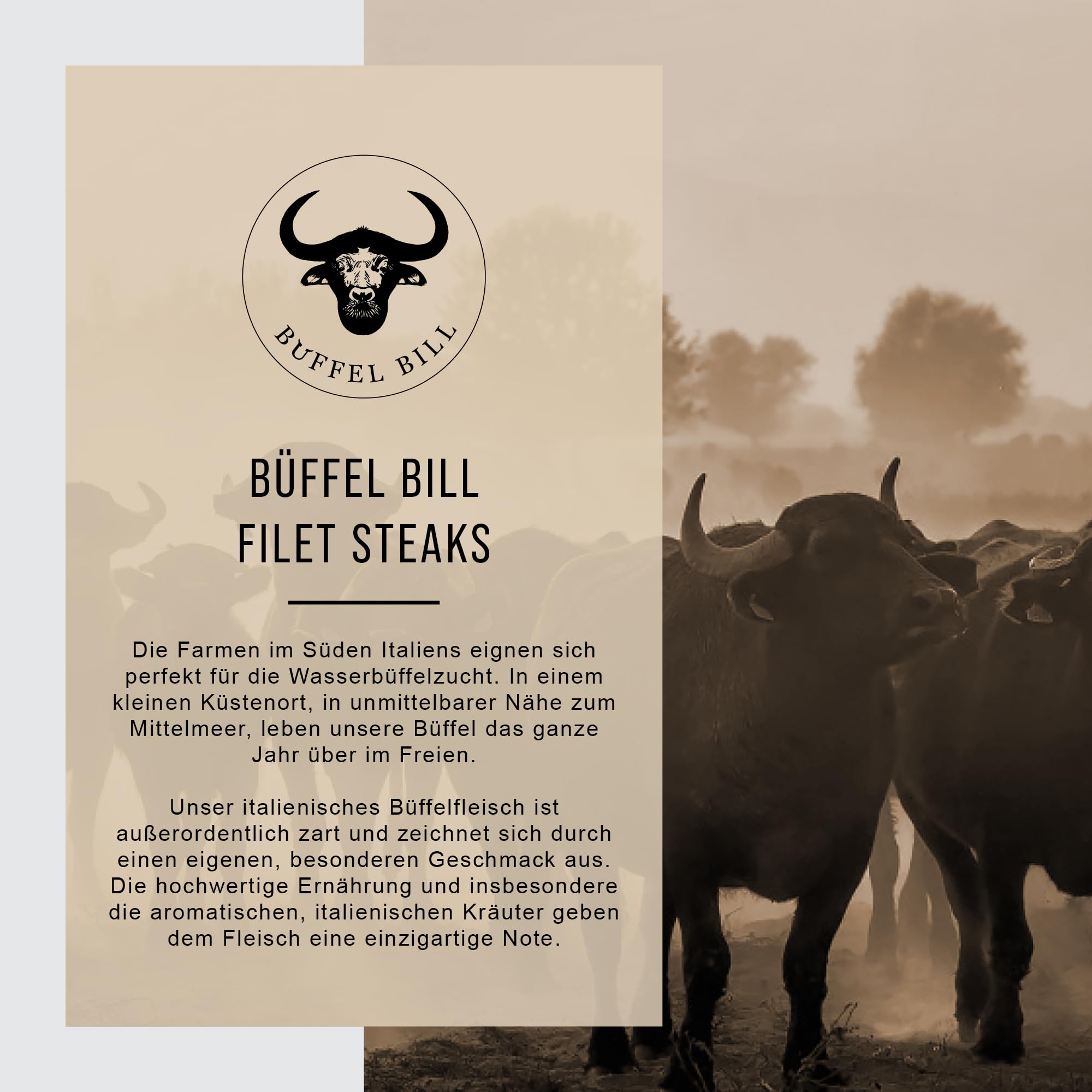 Büffel Bill Büffel Filet Steak 2x200g I Zart-saftiges, aromatisches Tenderloin vom italienischen Wasserbüffel Büffelfilet zum Kurzbraten und Grillen
