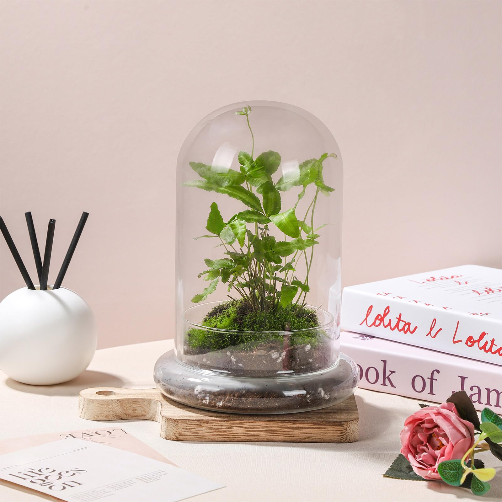 Mini Pot De Terrarium En Verre Transparent Avec Dôme Et Trous D'aération - Pour Plantes Succulentes - Décoration De Bureau - 14,5 X 21 Cm