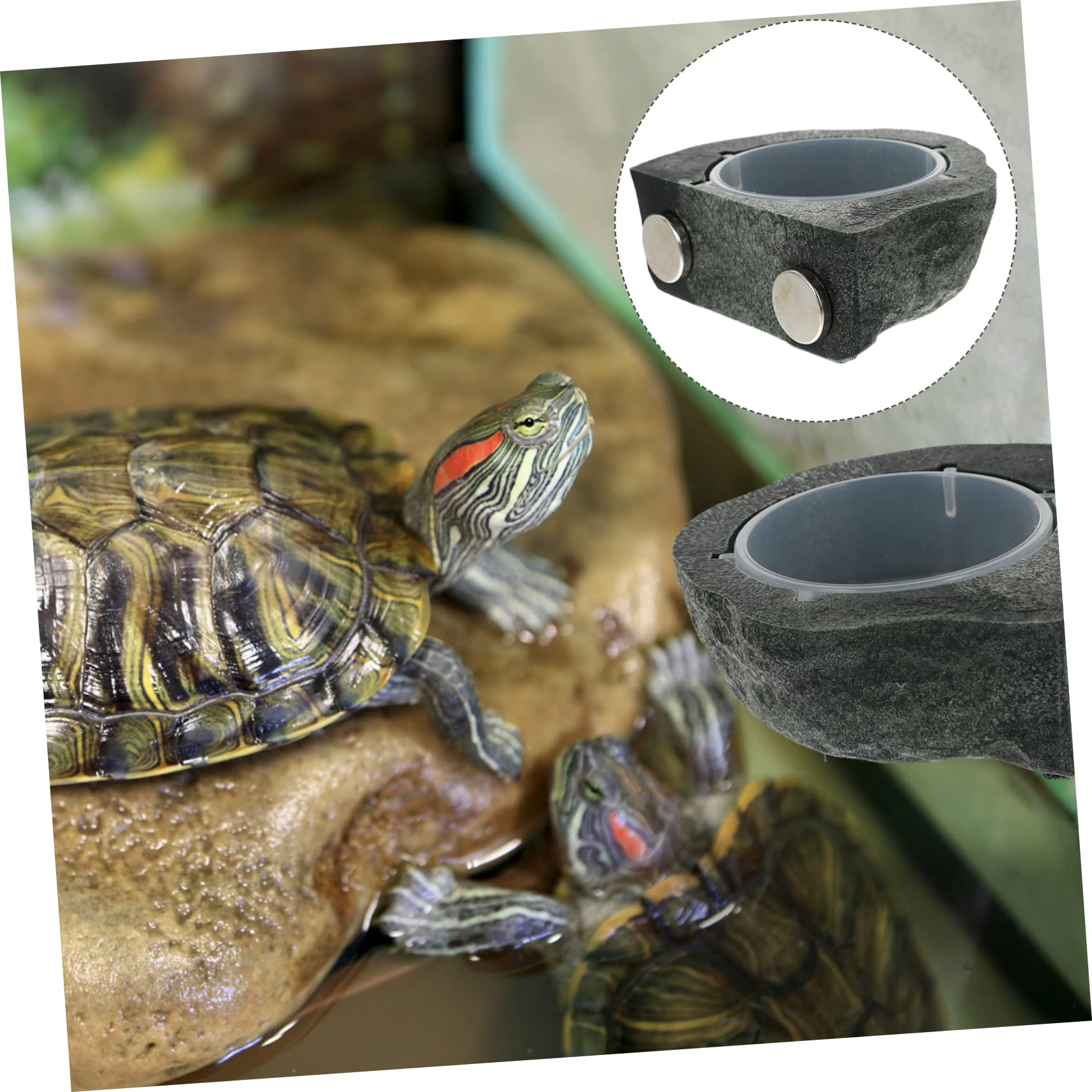 SUPVOX 2 Pezzi Ciotola per Acqua per Rettili Ciotola Angolare Design Facile da Installare Abbeveratoio per Rettili