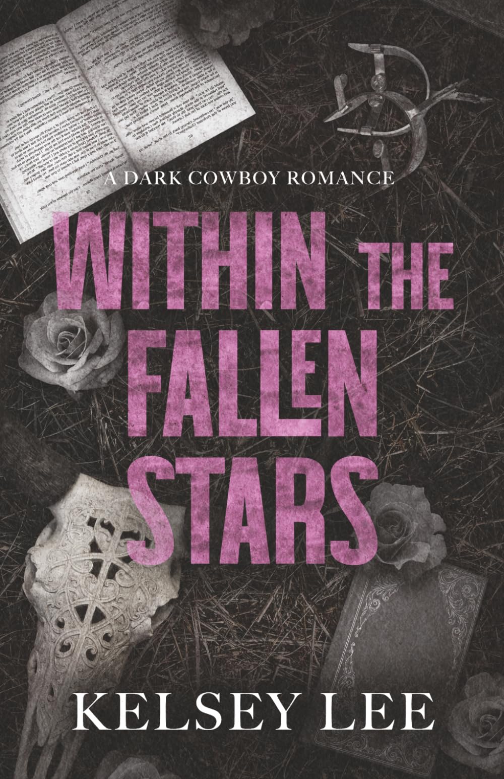 Within the Fallen Stars: a dark cowboy romance (Raven Creek)