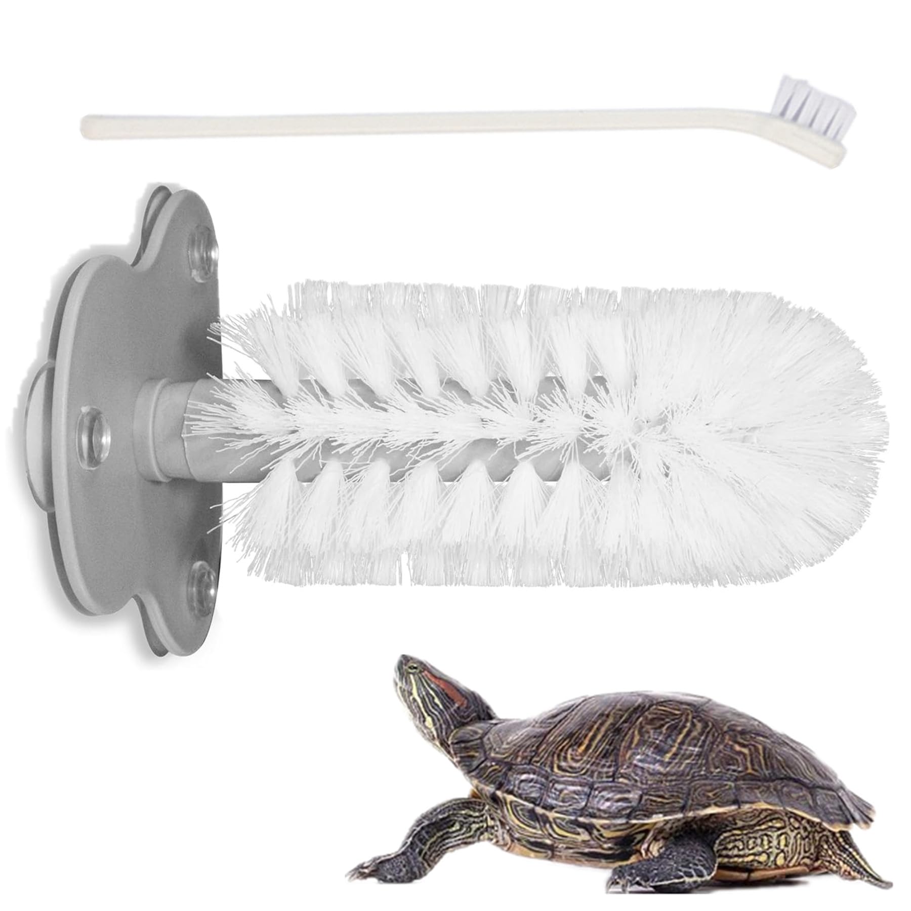 2pcs Turtle Brush with Suction Cup, Turtles Shell Scrub Scratcher Brushes, Tortoise Shell Cleaning Brushes, Turtle Tank Exfoliate Brush Tortoise Tank Accessories