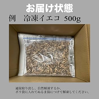 冷凍クロコML-L1kg+冷凍イエコM200g 58bed53e2b3b73baa36edfccc5f3f6