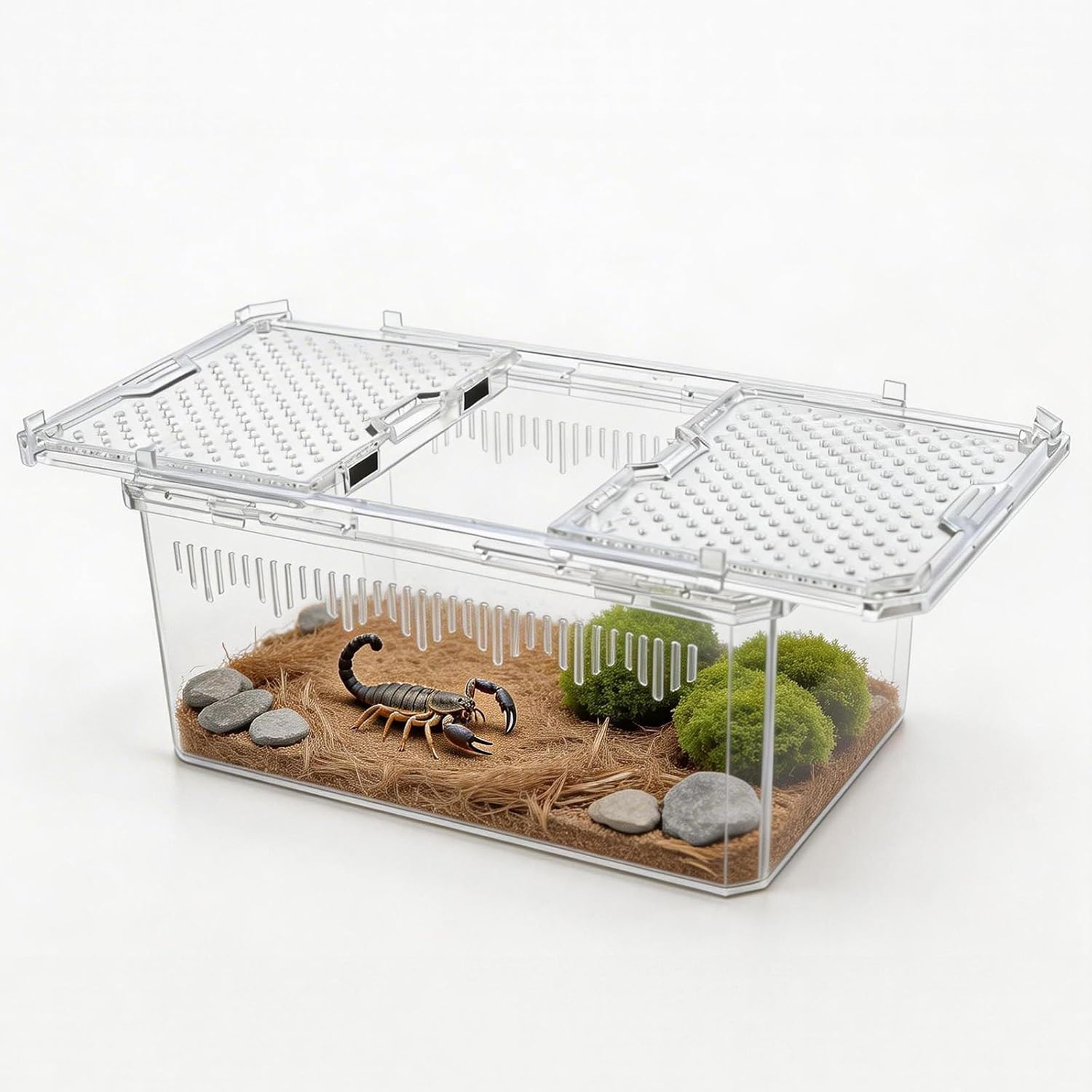 High-Transparency Reptile & Insect Enclosure Terrarium with Magnetic Door, Excellent Ventilation, Easy Cleaning, and Strong, Long-Lasting Build for Cricket,Frog,Gecko, Tarantula, Hermit Crab(Black,12)