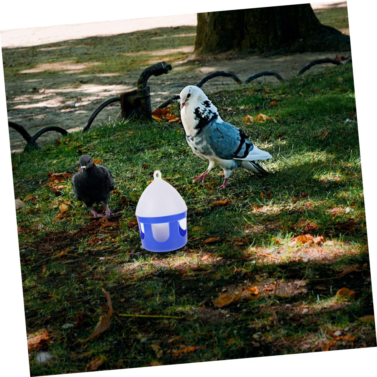 Vogeltränke als Taubenfutterspender 2 Stück PVC 2 Liter Abnehmbar