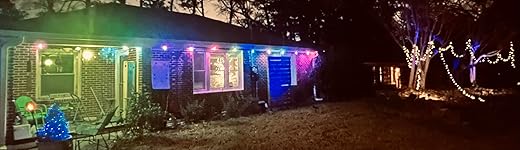 Review Image by P. L. Sansone P. L. Sansone