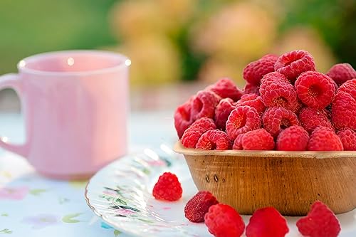 Miniatura 7 de ECODECO Platos compostables de hoja de palmera, 100 piezas, cuenco cuadrado de 5 pulgadas, desechables, ecológicos, como platos de fiesta de bambú