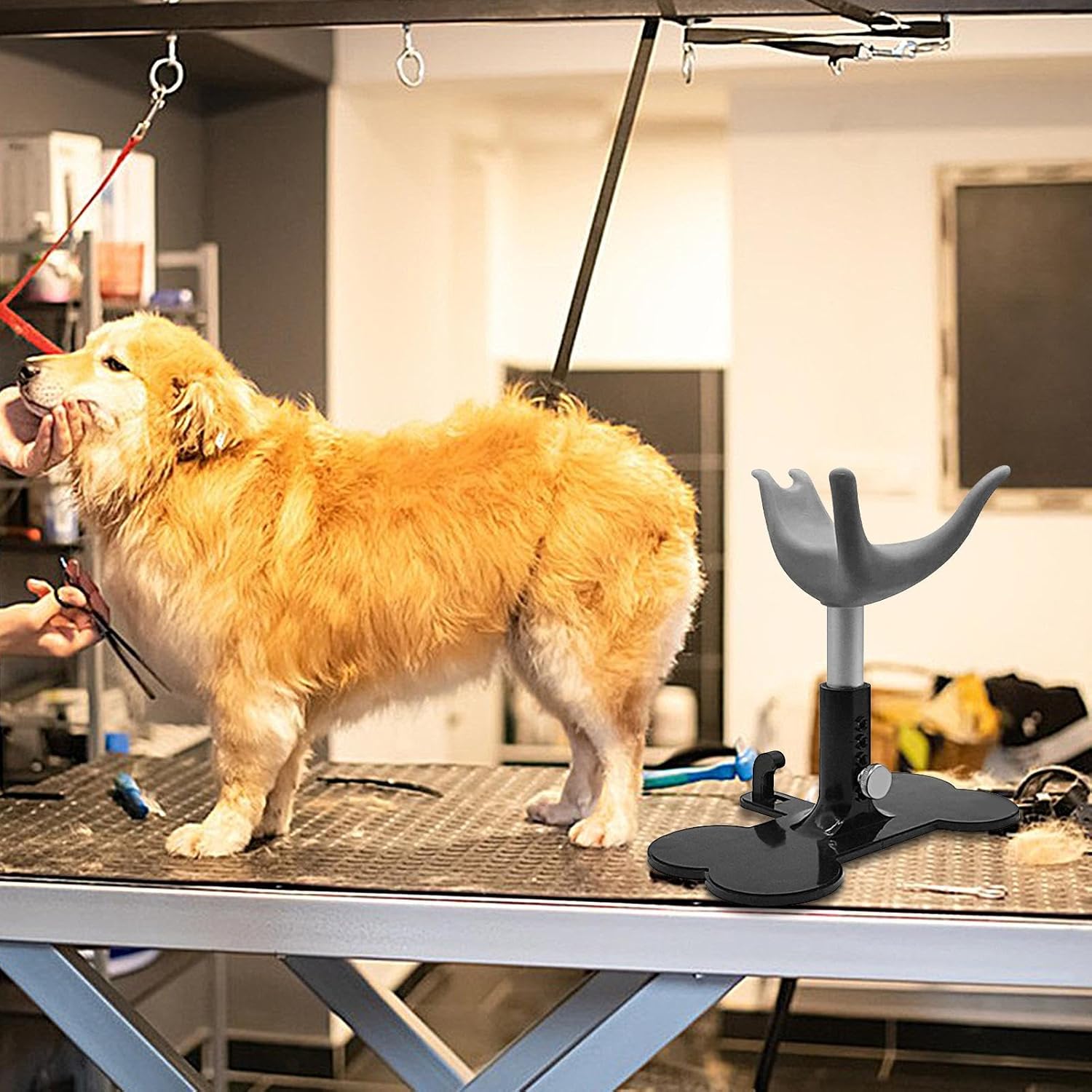 Adjustable Dog Grooming Stand - Puppy Bathing Ladder Bench | Non-Slip Height Adjustable Assistive Pet Support for Bathing, Showering, Trimming Dogs Safely and Comfortably At Home