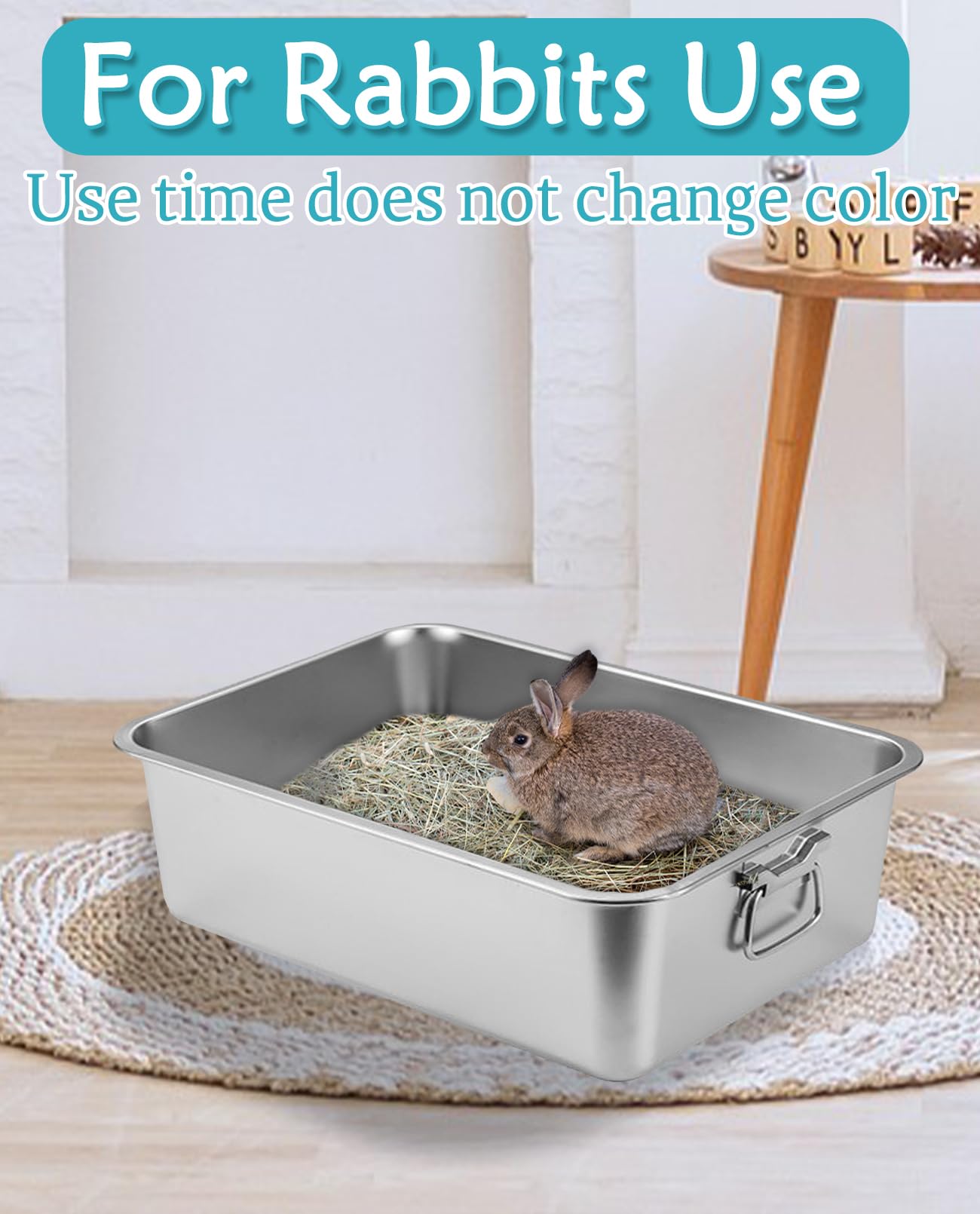 https://m.media-amazon.com/images/I/71FhBhB5SPL.jpg