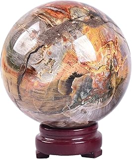 AMOYSTONE Petrified Wood Sphere 3.2-3.6" - Large Stone Orb Natural Specimen for Rock Collection, Geology Study & Display