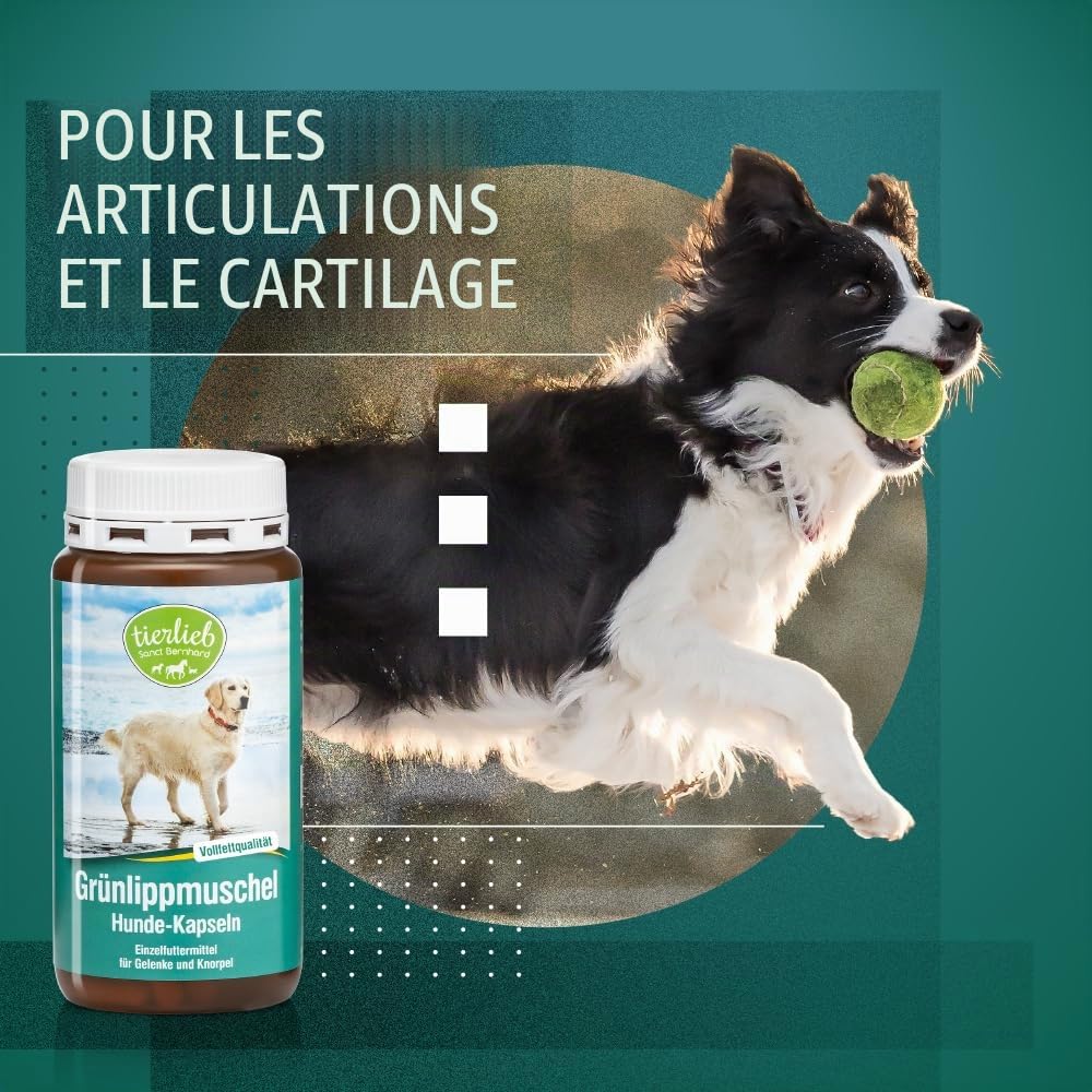 Tierlieb Lot de 150 Capsules de Moule à lèvres Vertes pour Chien