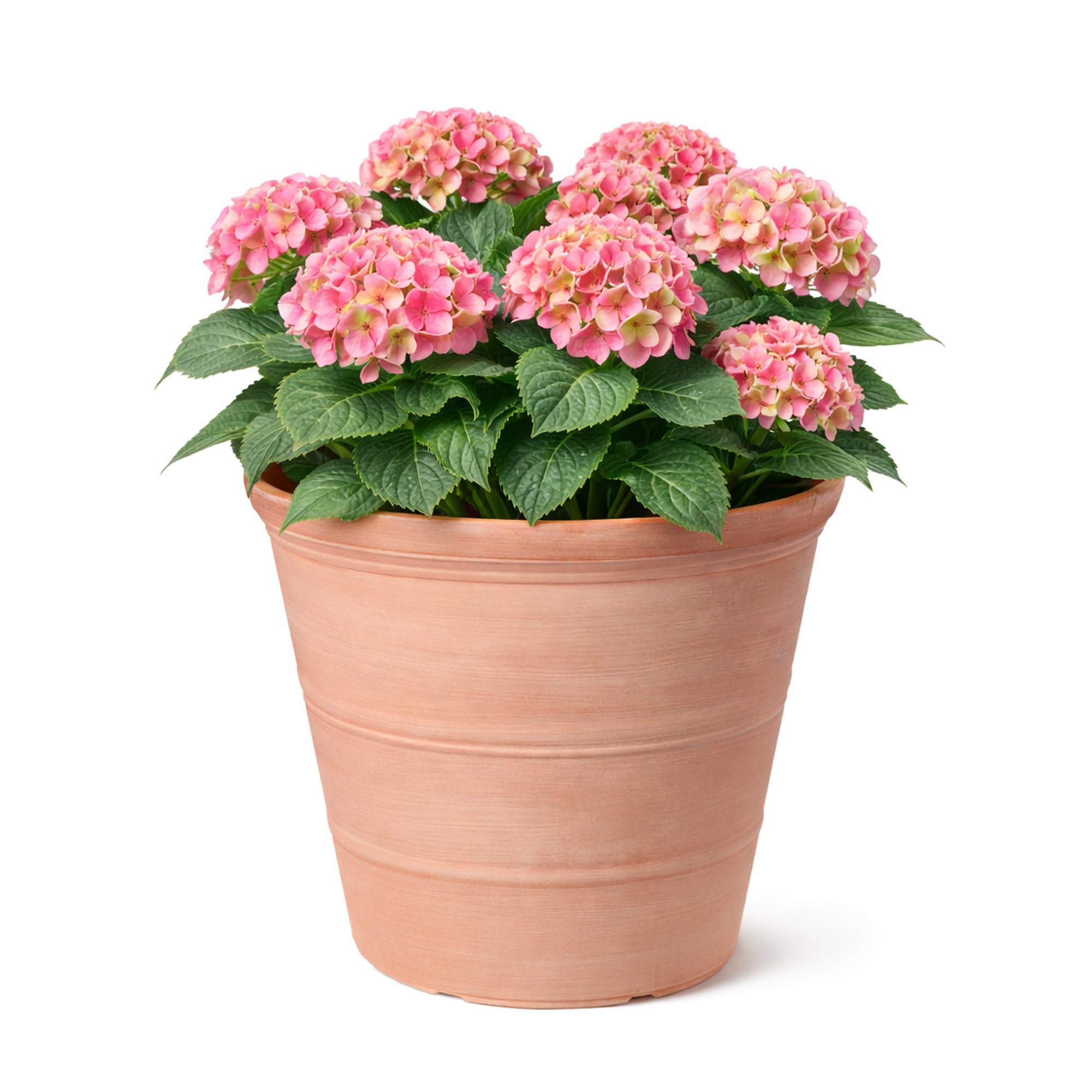 Jack Stonehouse - Garden Planter - 47cm - Terracotta Effect