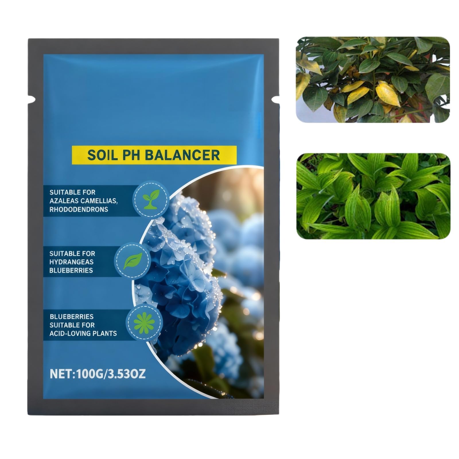 Hydrangea Feed & Soil Acidifier,Blue Hydrangea Fertiliser for Plants,Plant Acidic Soil Improver for Garden,100g Dilutable Formula to Turn Hydrangeas Blue,Plant Growth Promoter
