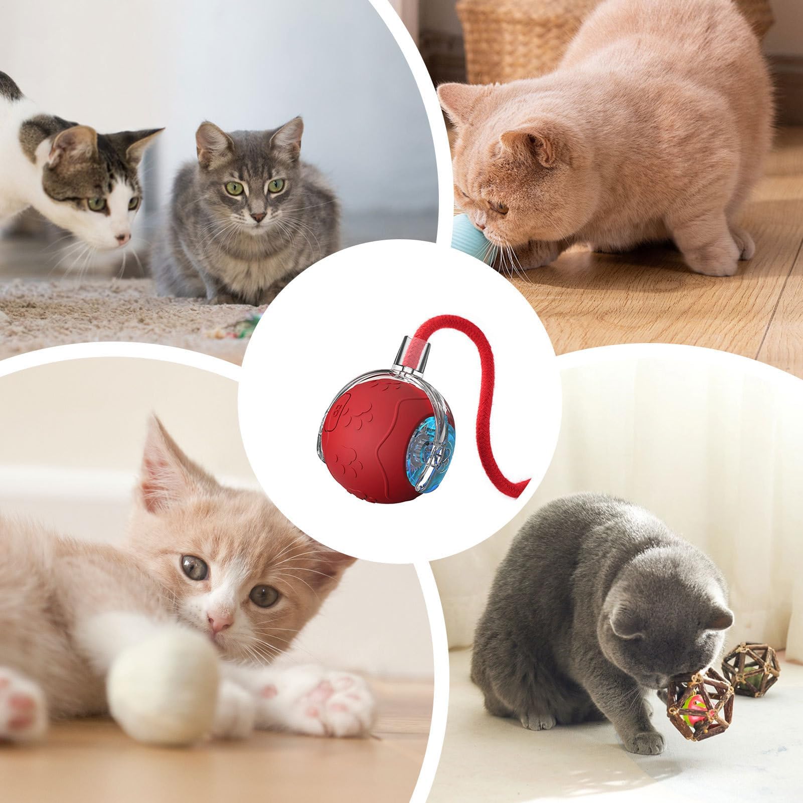 Juguetes para Gatos， Divertido Juego for Mascotas - Juguete for Gatos con Bola móvil de Silicona Cuerda | for Ejercicios enriquecimiento Juegos en Interiores(Red)