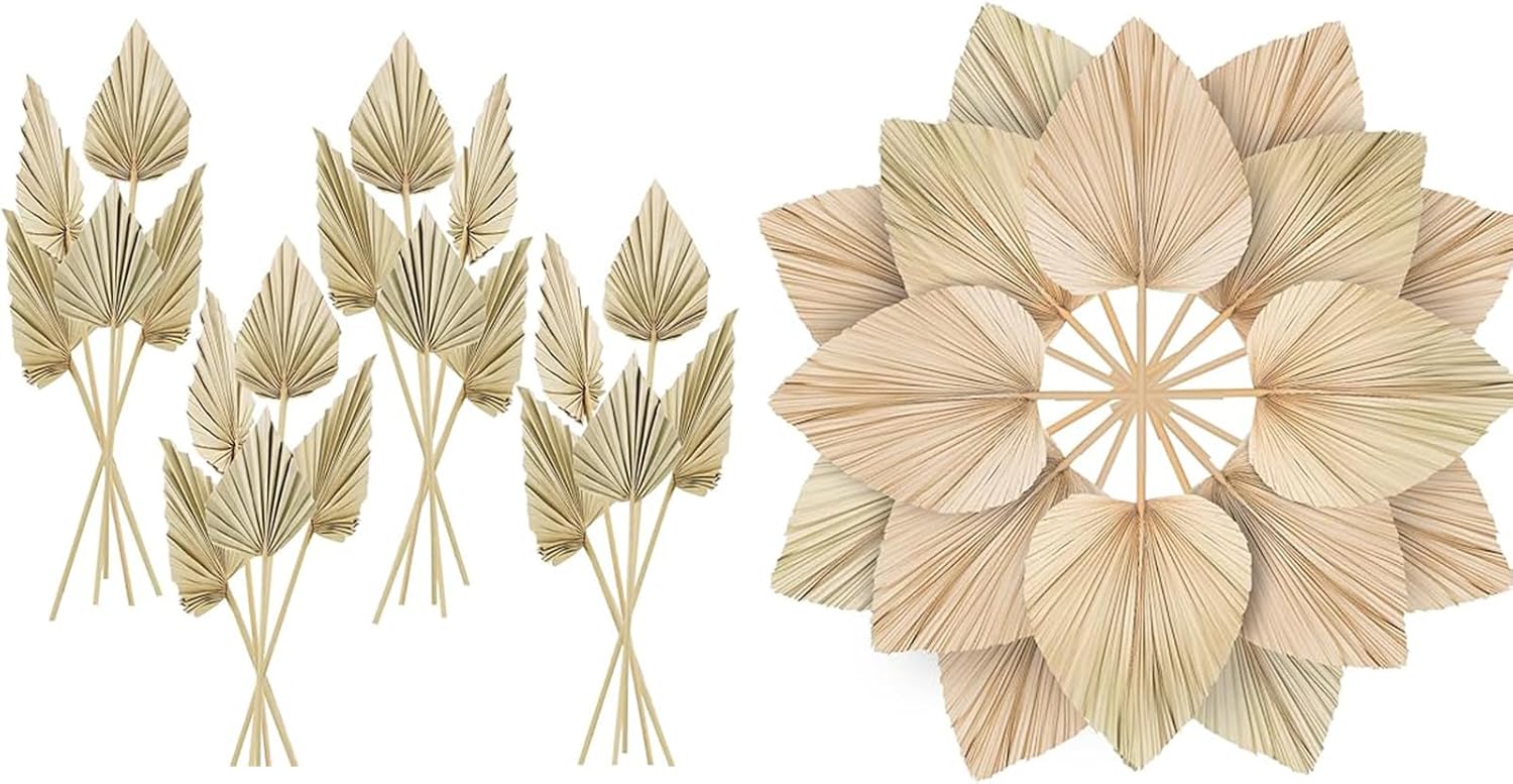 Boho Dried Palm Spears Leaves Bulk, Small Natural Dried Real Palm Fans