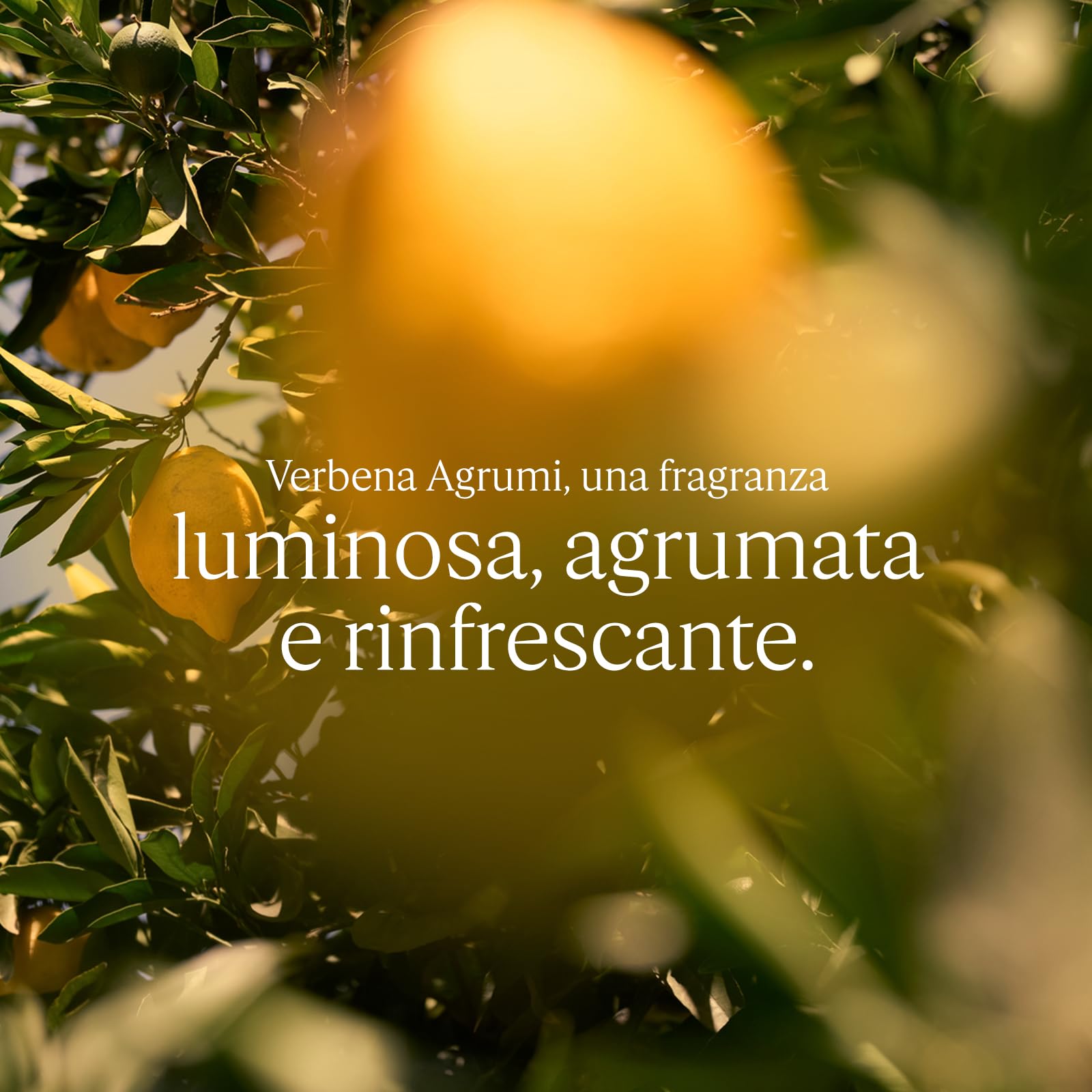 L'OCCITANE - Eau de Toilette Verveine Agrumes (Verbena Agrumi) - 75 ml