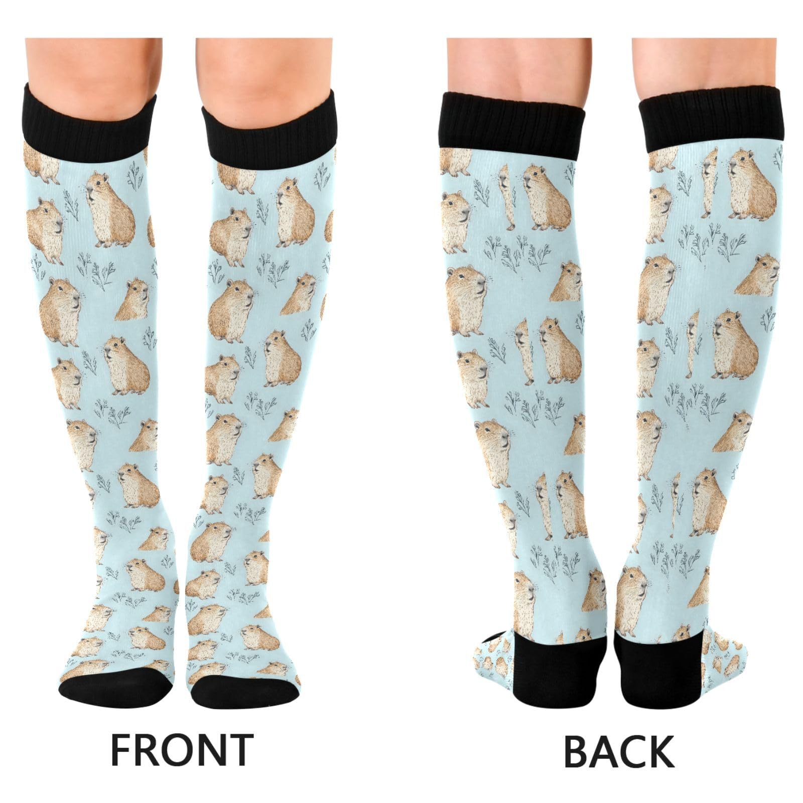 ALAZA Capybara Blue Cartoon Compression Socks for Women Men Circulation Long Socks Running Athletic Cycling 2 pair