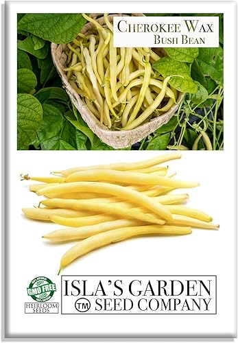 Cherokee Wax Bush - Semillas de frijol (Phaseolus vulgaris), más de 50 semillas sin OMG y reliquias de Isla's Garden Seeds, vainas de color amarillo