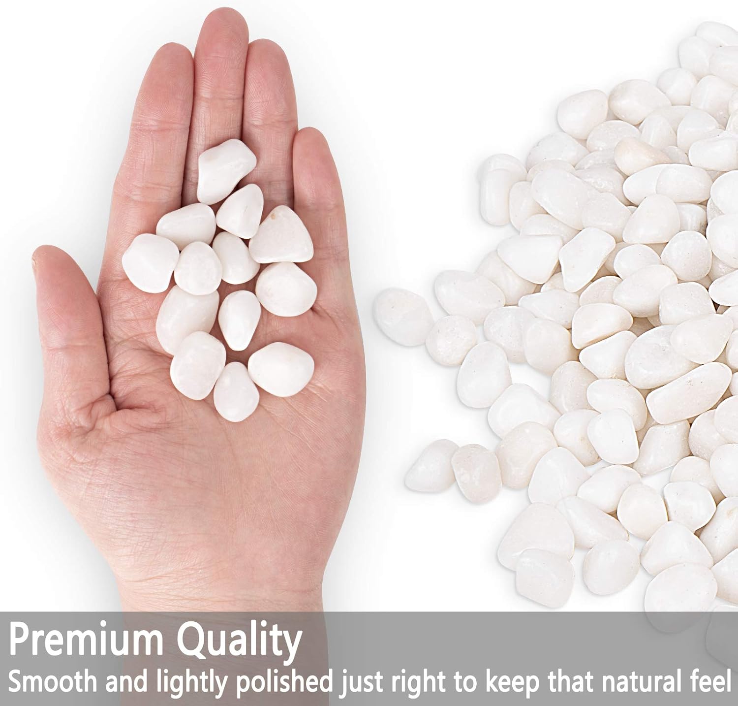 X Home 8LB White Rocks, Decorative Small Pebbles for Plants, Vase Filler, Succulent, Garden, Highly Polished, 3/8-1/2 inch : Patio, Lawn & Garden