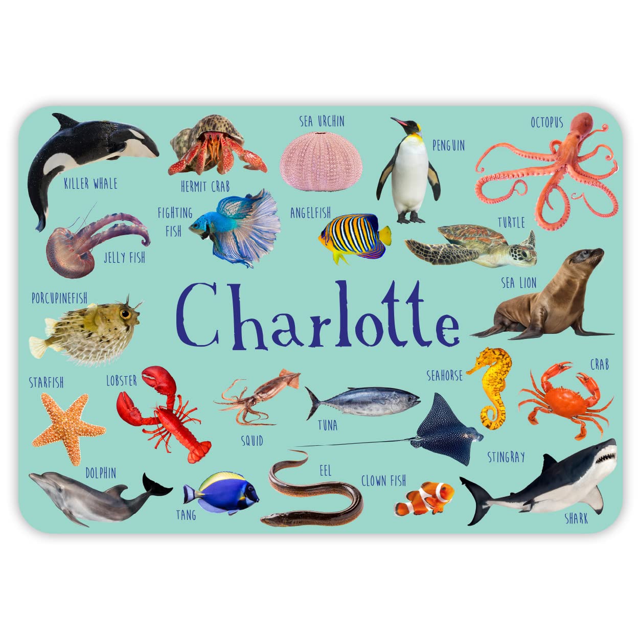 Paper Themes Personalised Placemat for Kids (Sea Creatures)