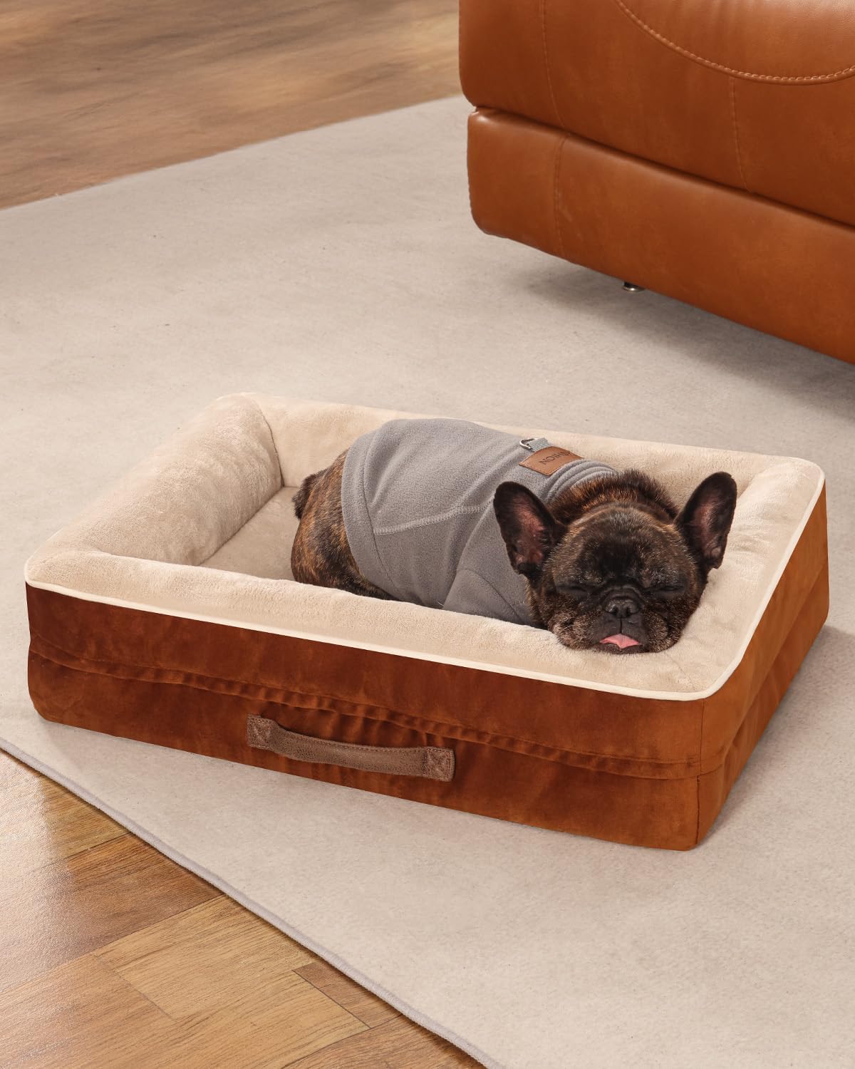 Cat Beds for Indoor Cats, Egg Foam Orthopedic Dog Bed with Removable Washable Cover, Waterproof Cat Couch Bed with Non-Slip Bottom and Four-Sided Bolster Cushion, Brown Dog Beds for Small Dogs 24.0"L x 18.0"W x (3.0"+3.0")Th Brown