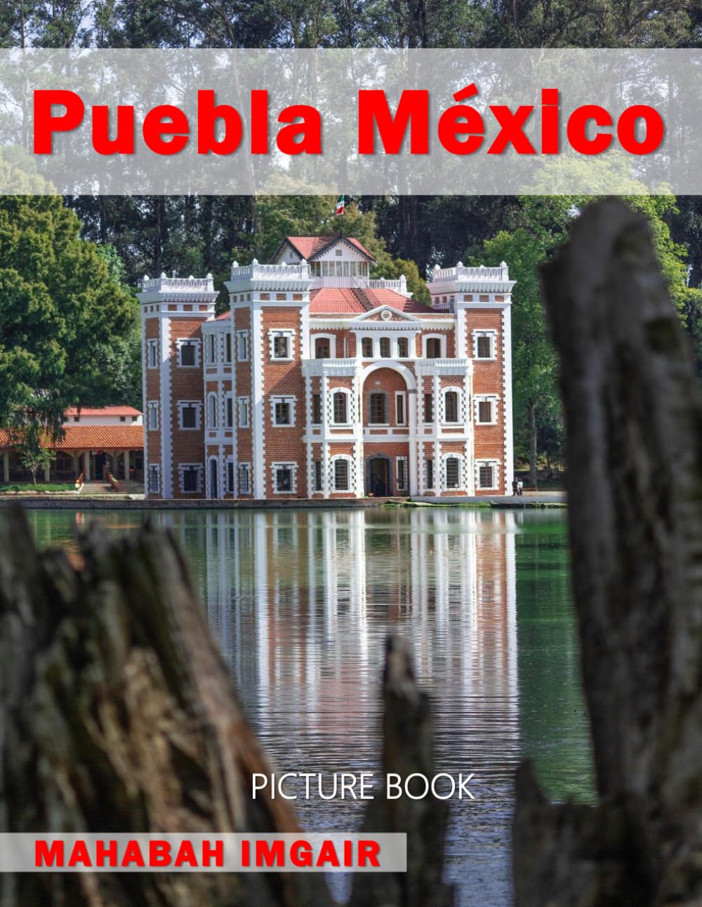 Puebla México: A Stunning Coffee Table Photo Book for Travel and Tourism Enthusiasts