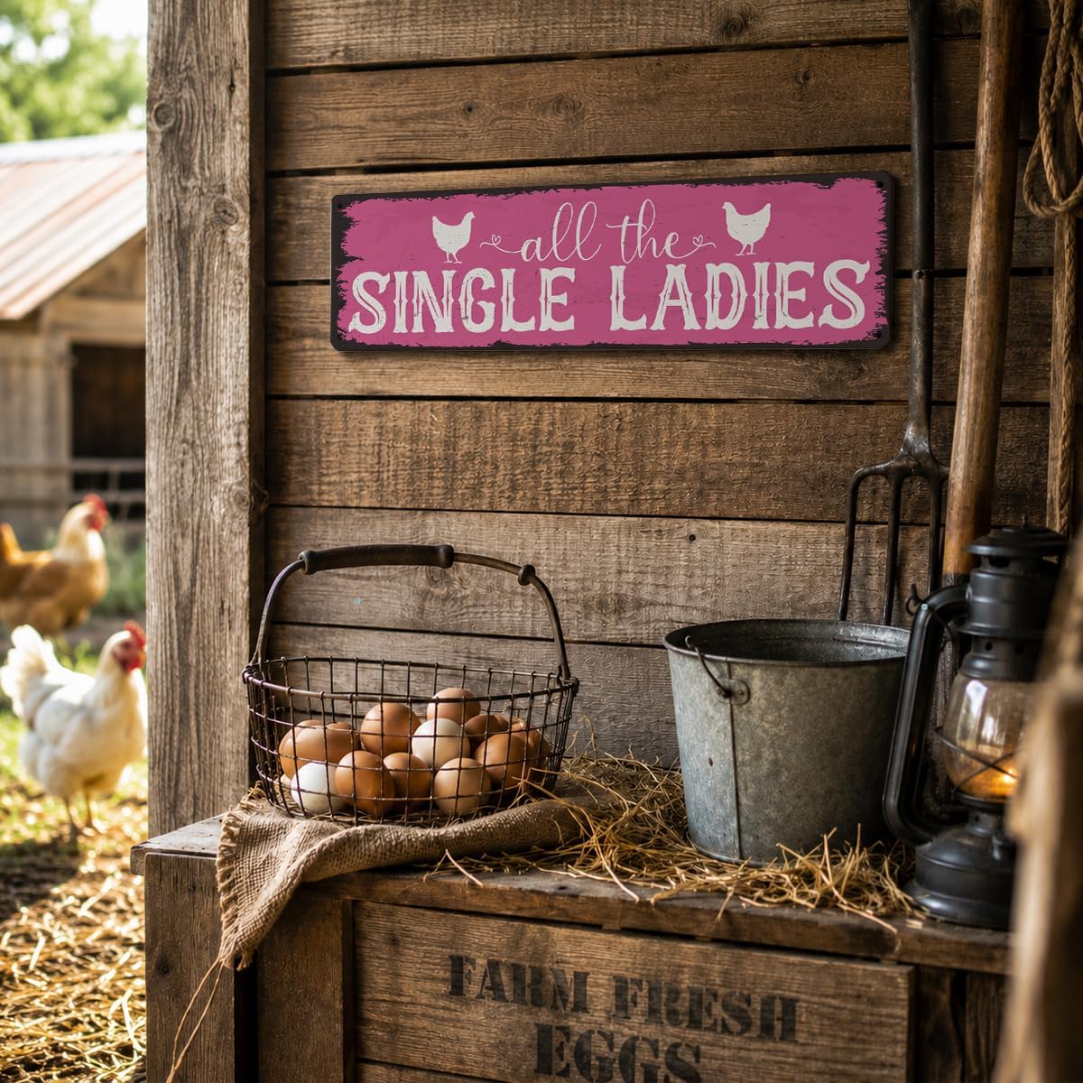 Chicken Coop Signs, All the Single Ladies Sign, 15.8x4 inches, Funny Hen House Decor, Chicken Coop Sign, Pink Metal Tin Signs, Farmhouse Home for Garden Outdoor Backyard, Vintage Wall Decors