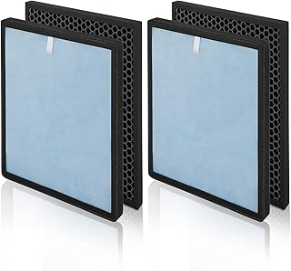 HSP001 Filter Replacements Compatible with HATHASPACE HSP001 Smart True HEPA Machine,2 HEPA Filter+2 Activated Carbon Filter
